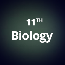 11th-biology-cbse-neet-aiims-jipmer