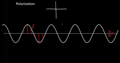 Polarization