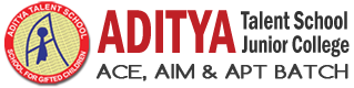 Aditya IIT Academy